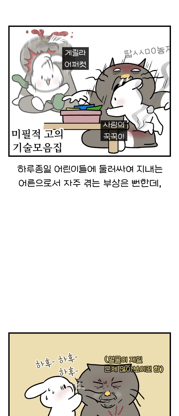11 페이지