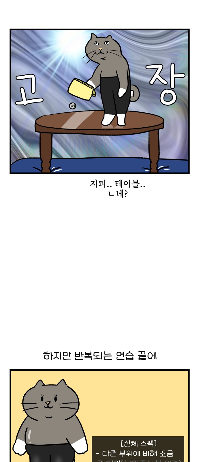 11 페이지