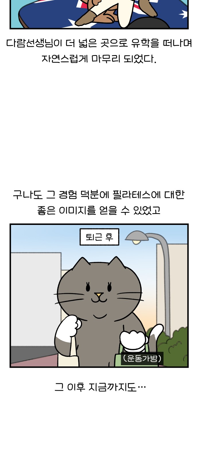 15 페이지