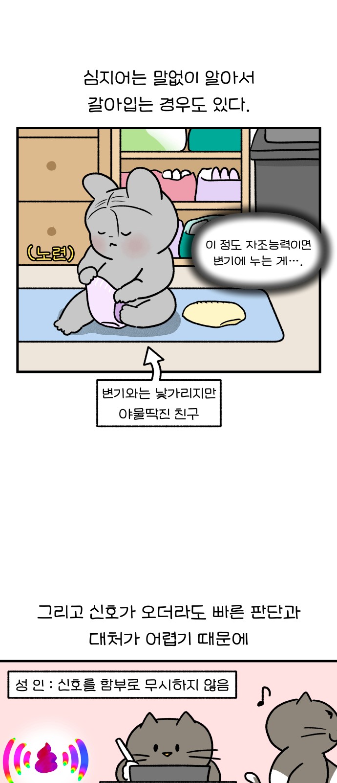 5 페이지
