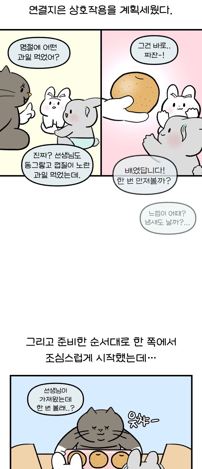 11 페이지