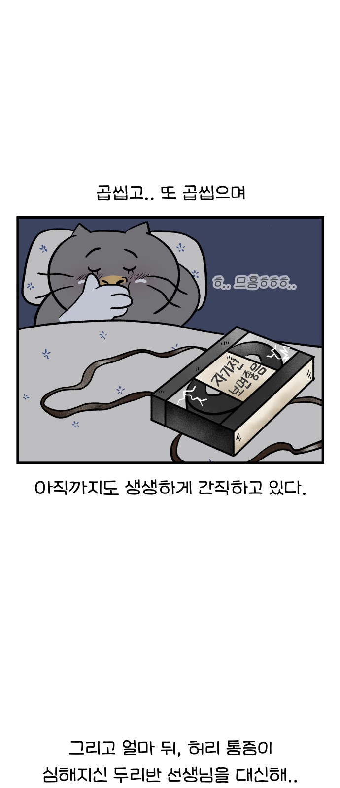 13 페이지