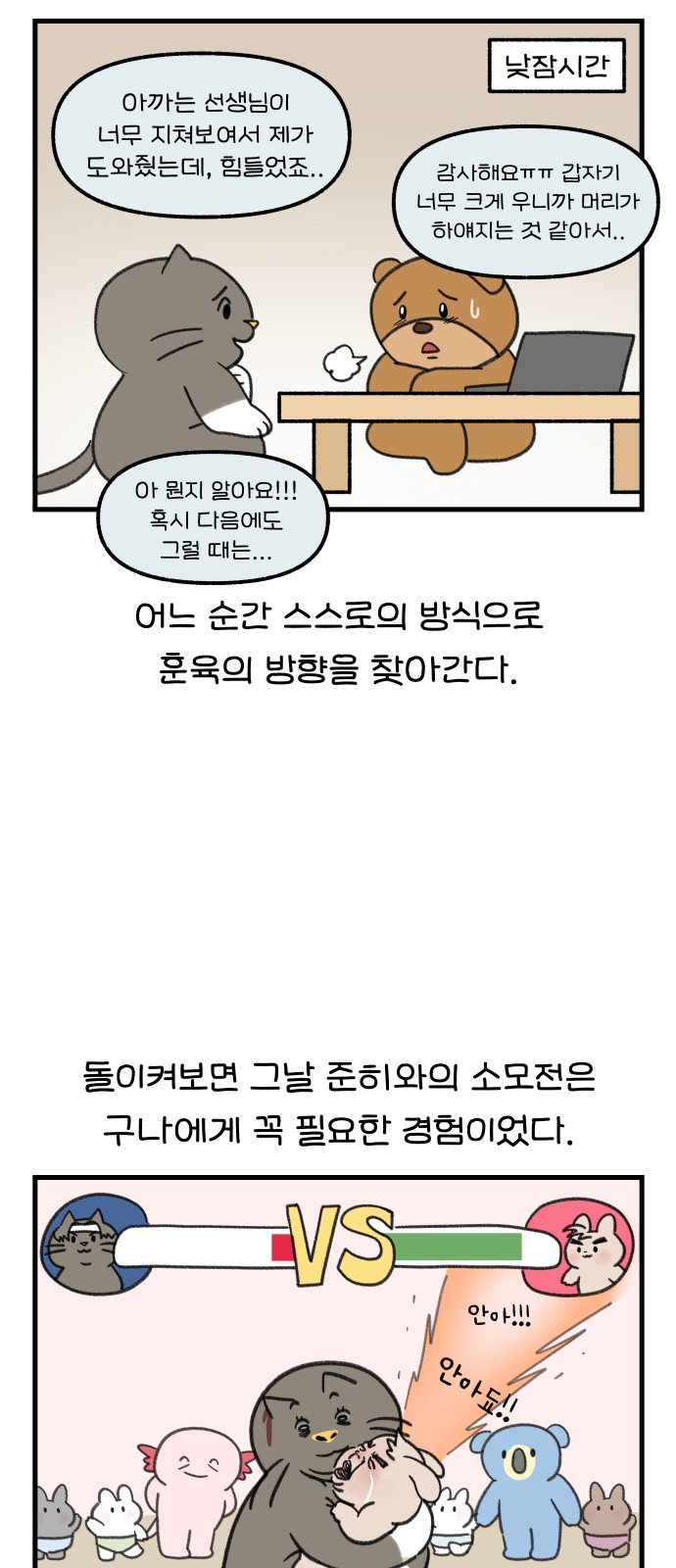 14 페이지