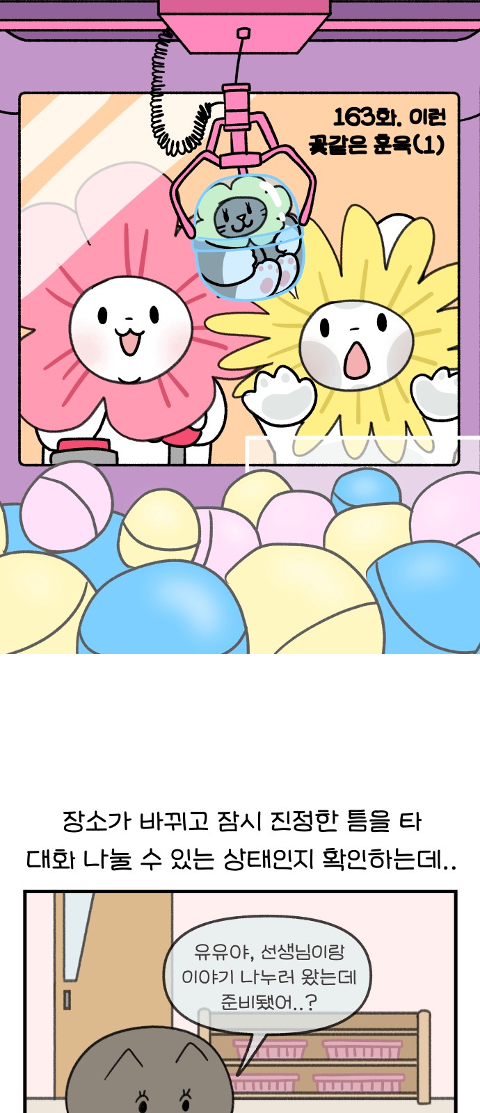 11 페이지