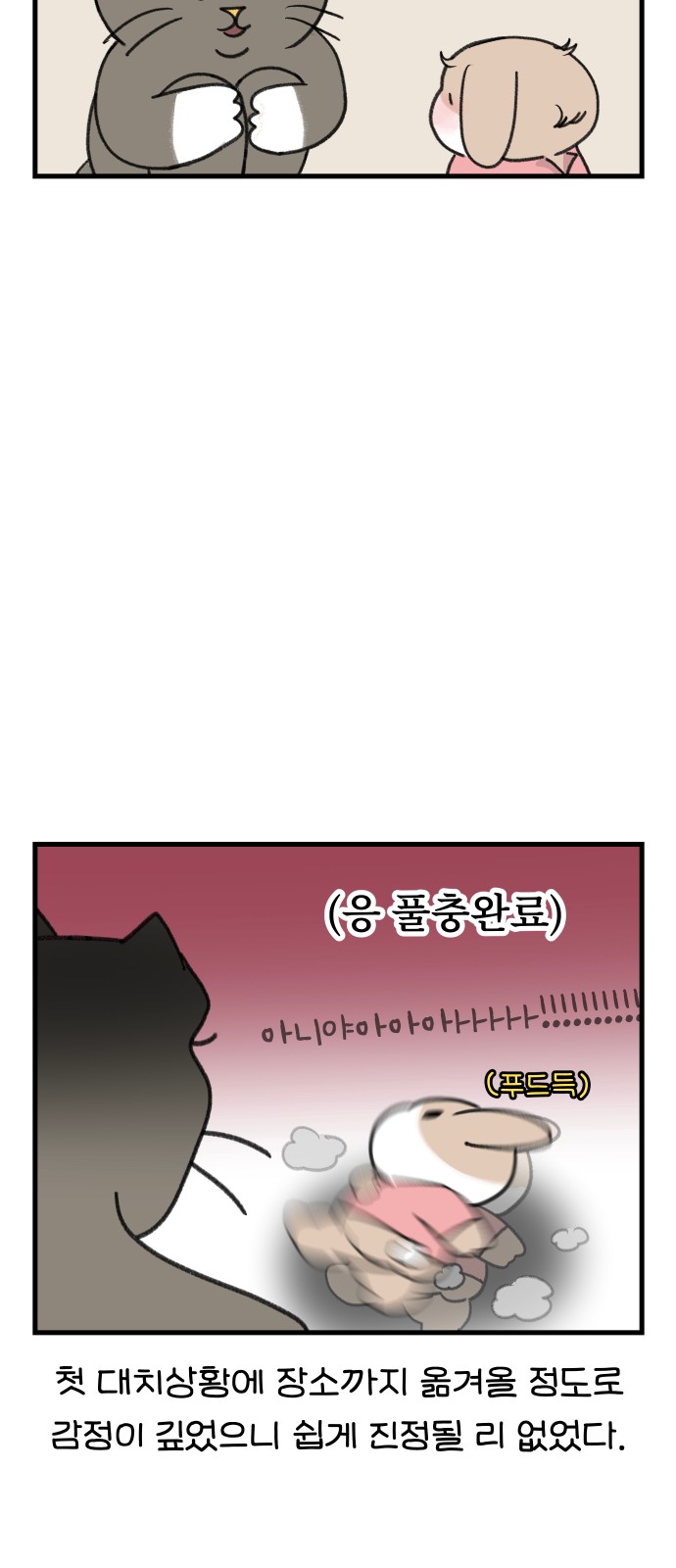 12 페이지