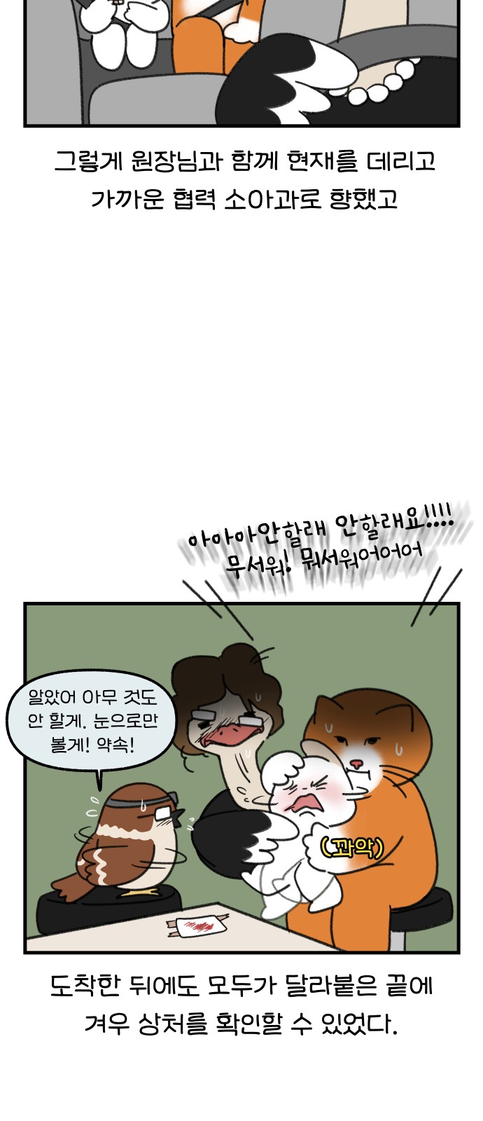12 페이지