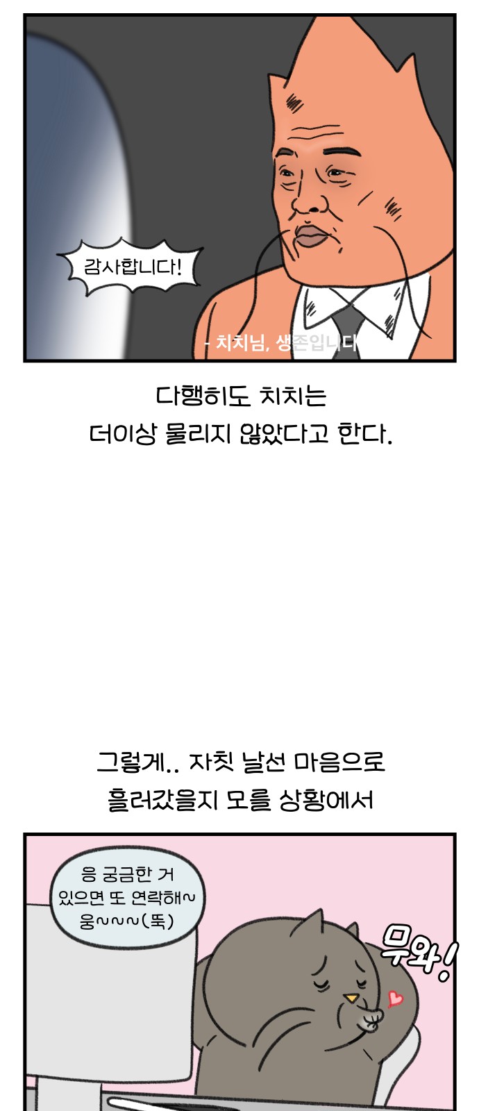 14 페이지