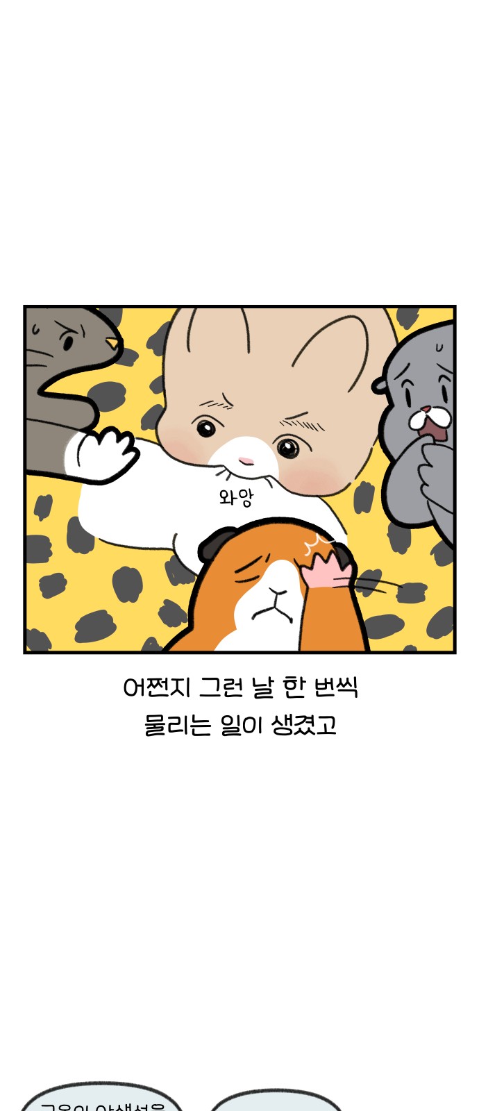 13 페이지