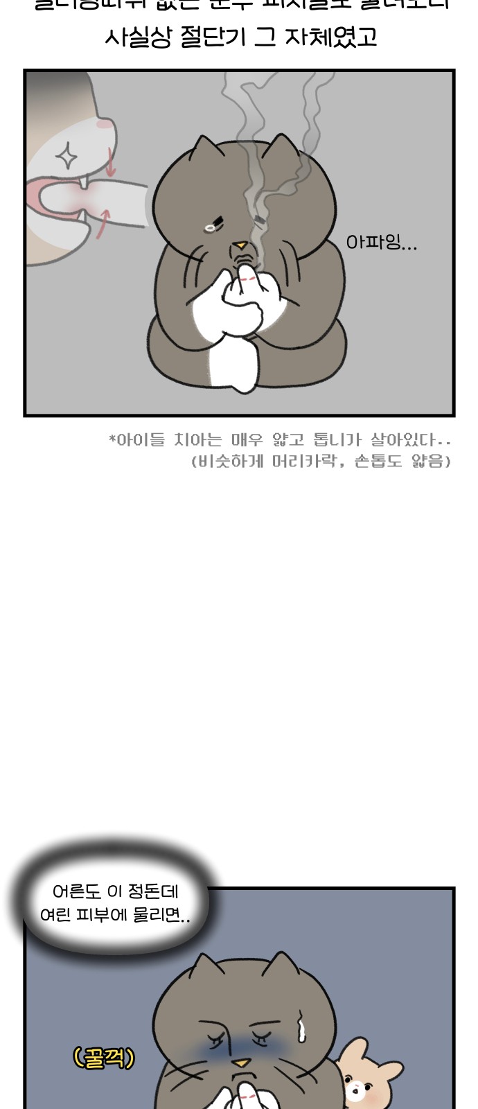 11 페이지