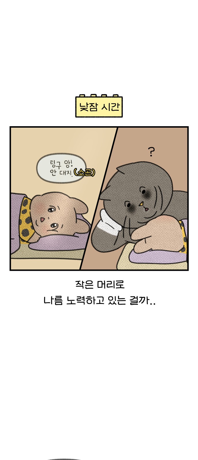 13 페이지