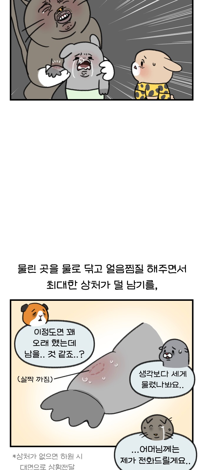 6 페이지