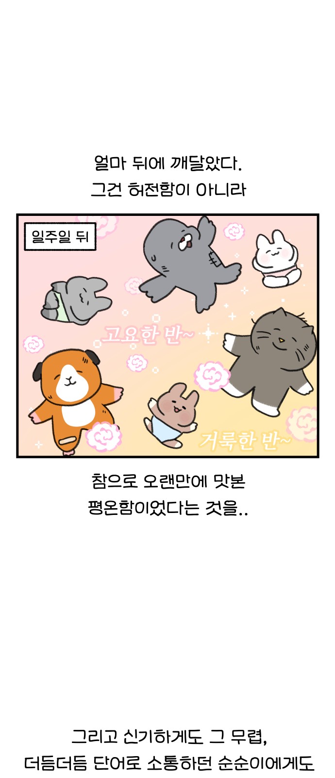13 페이지