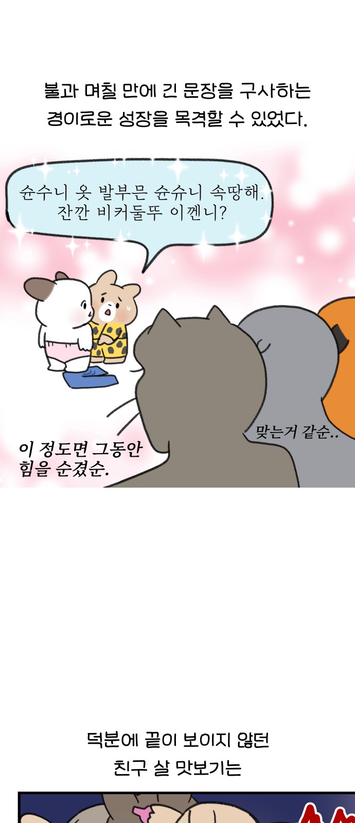 16 페이지
