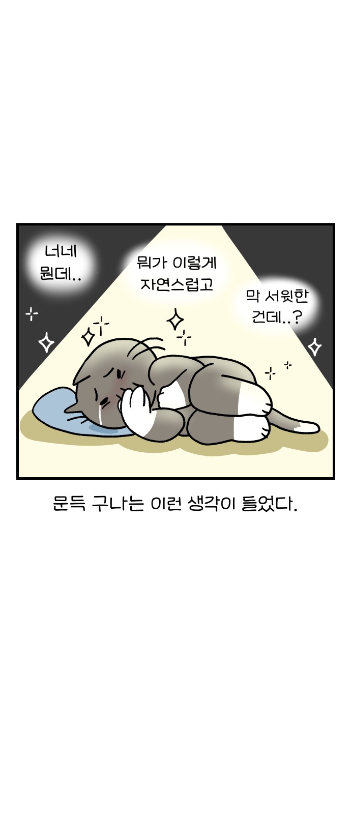 13 페이지