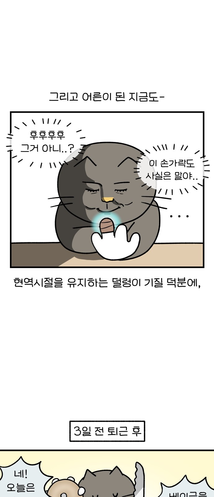 16 페이지