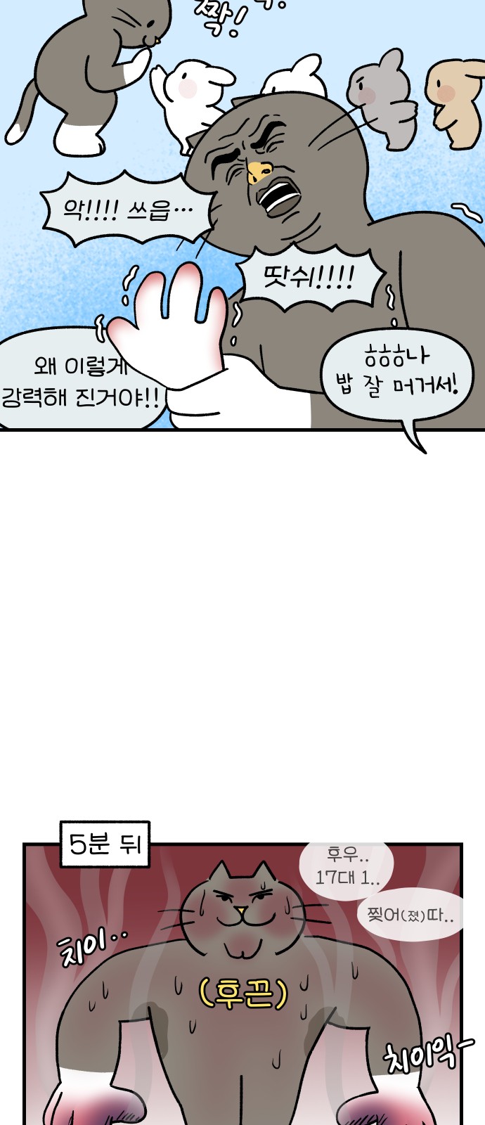 14 페이지
