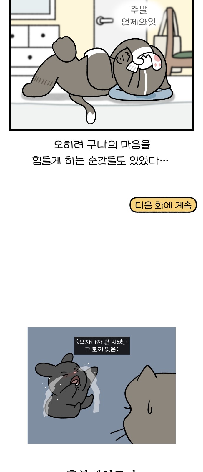 17 페이지