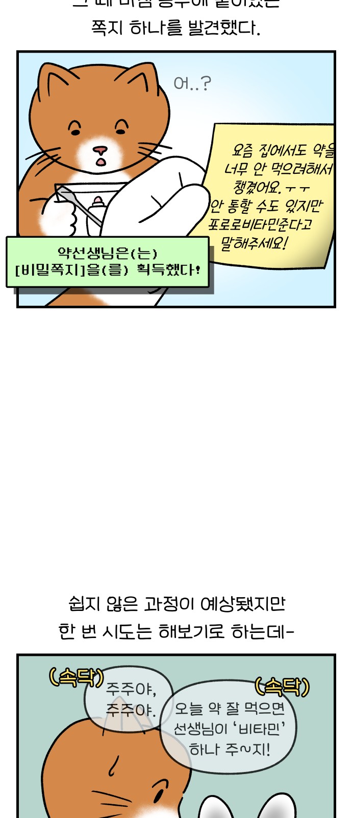 11 페이지