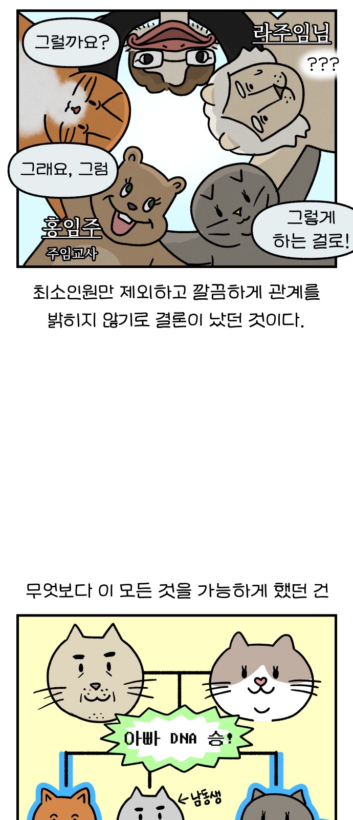 14 페이지