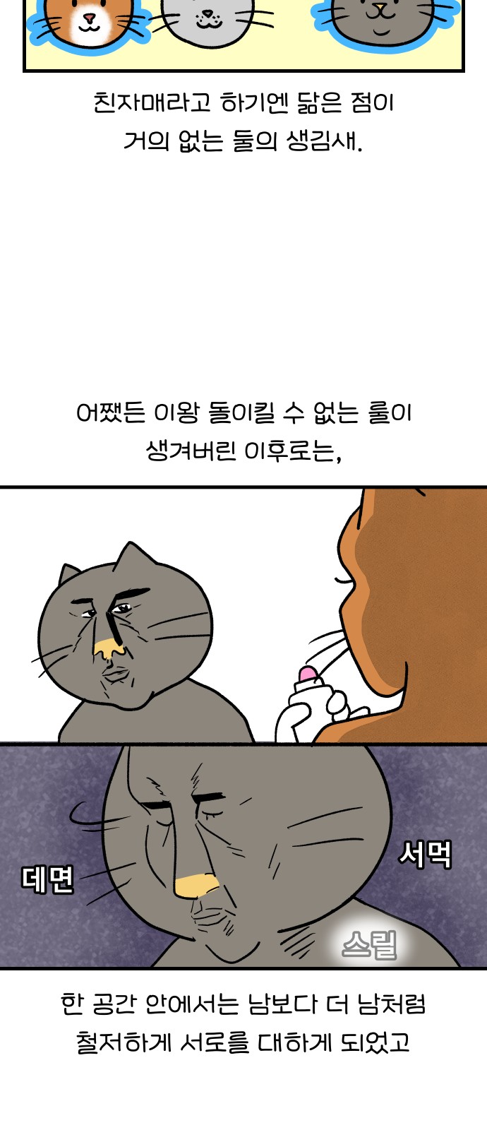 15 페이지