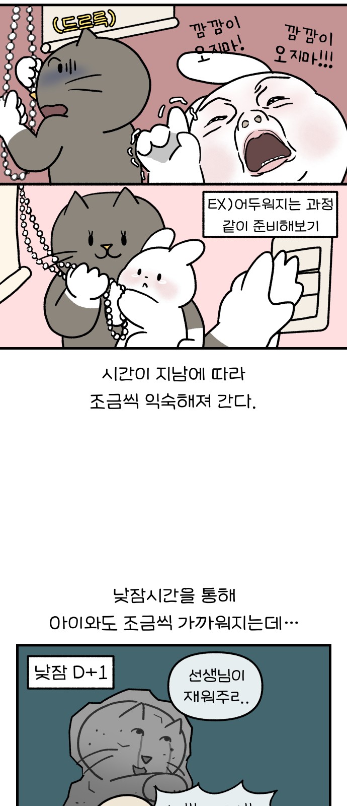 11 페이지