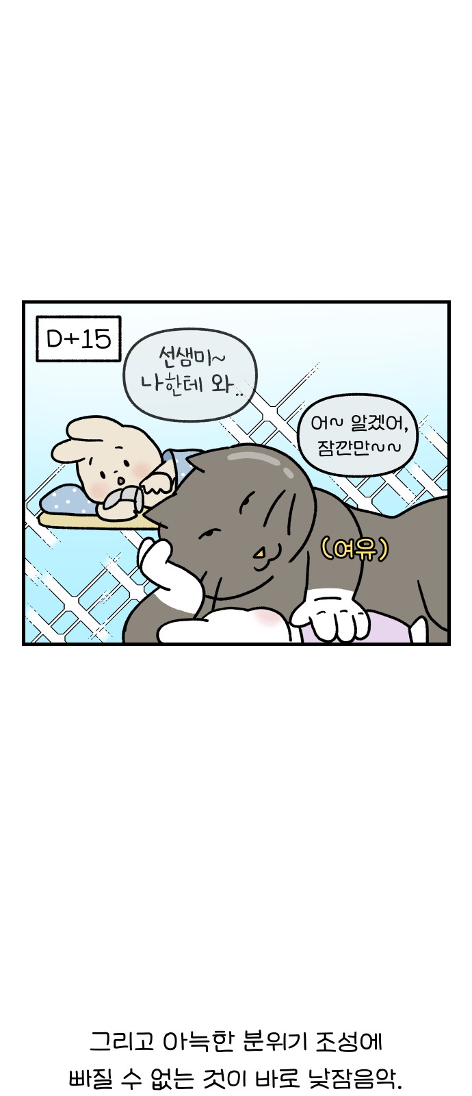 13 페이지