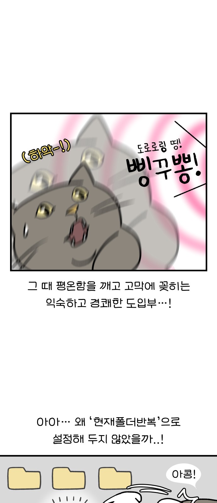 16 페이지