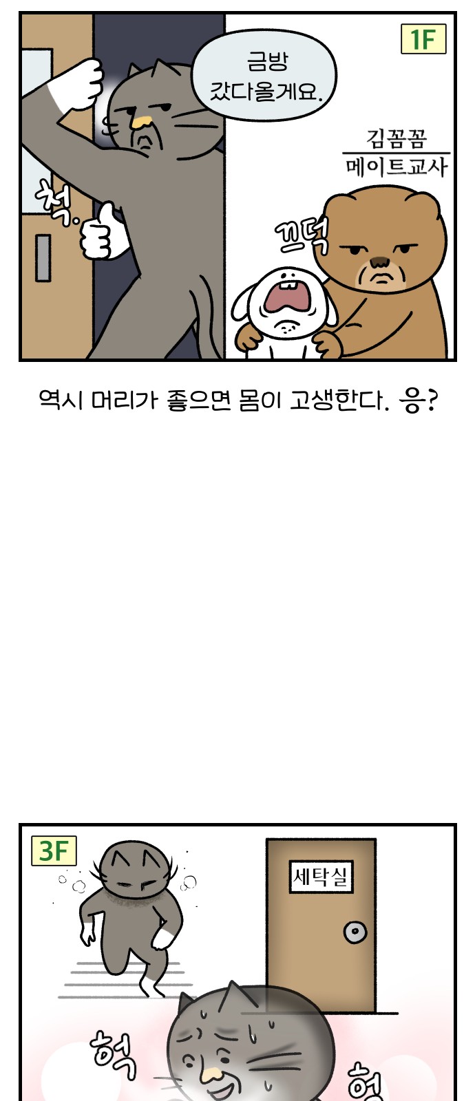 14 페이지