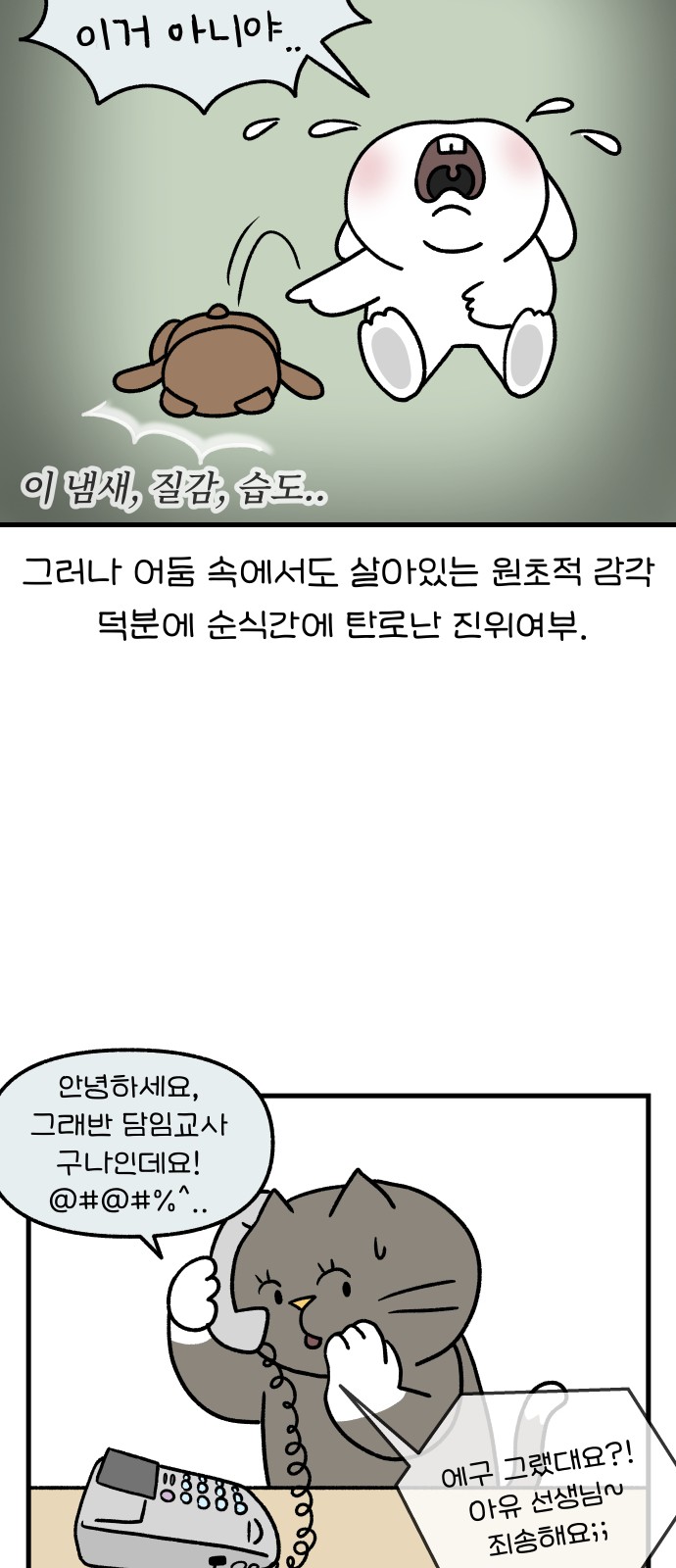 17 페이지