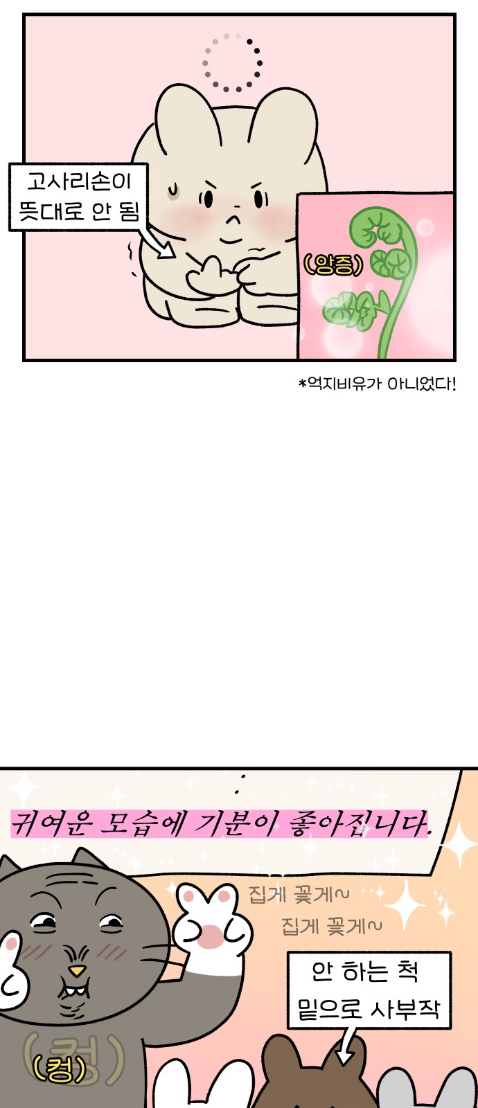 14 페이지