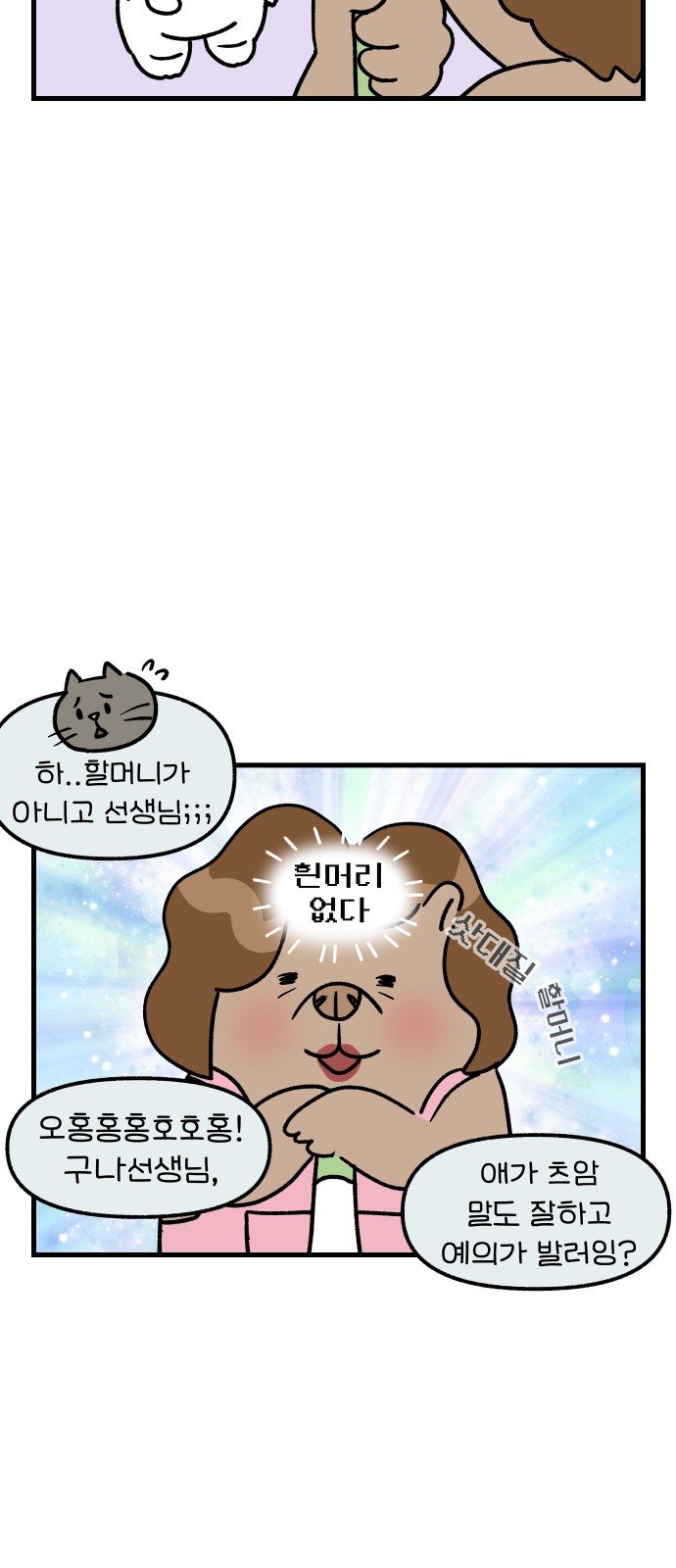 15 페이지