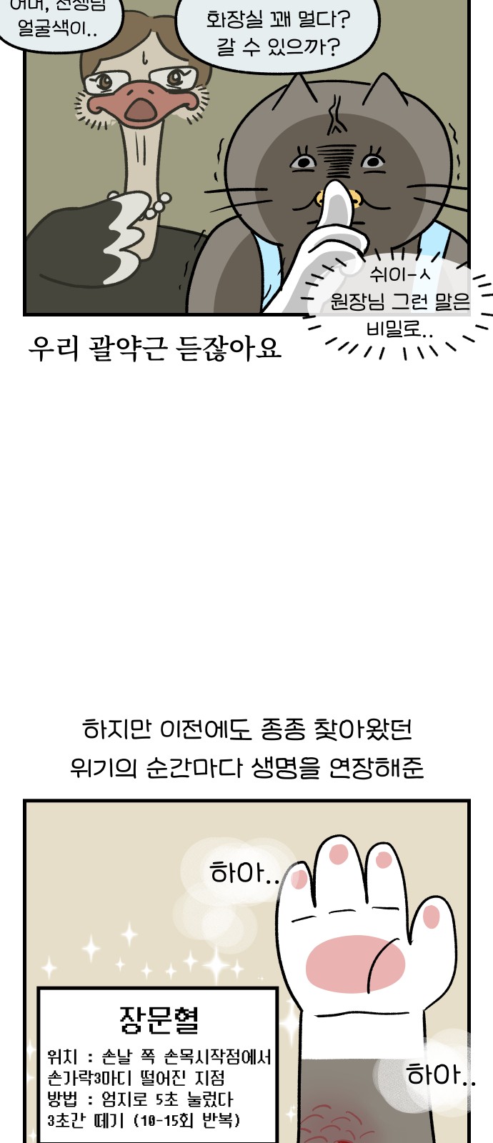 17 페이지