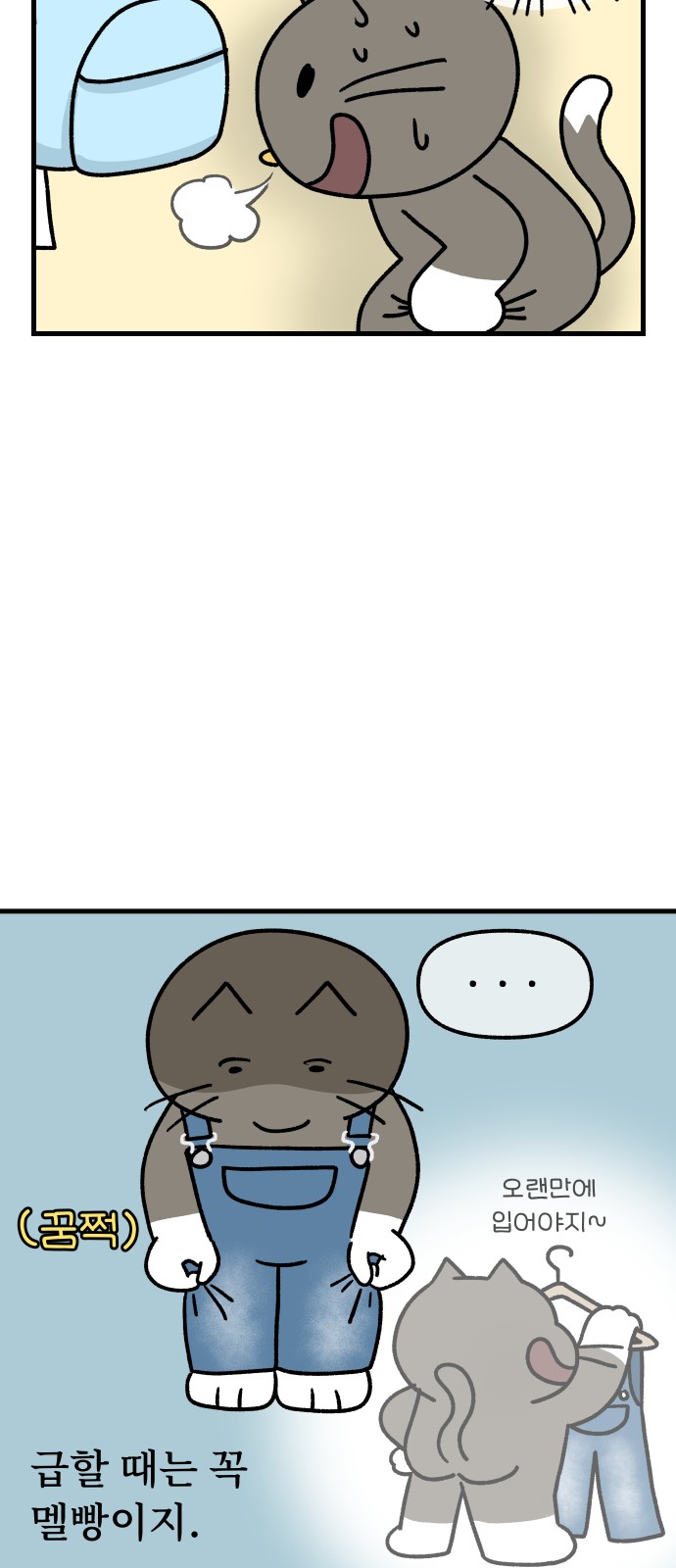 6 페이지