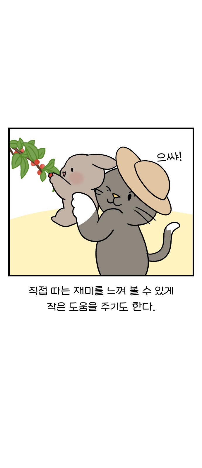 13 페이지