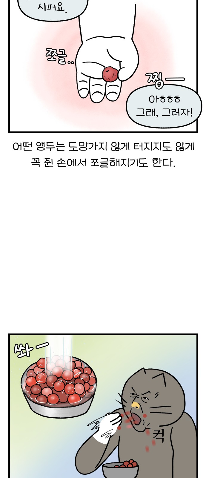 17 페이지