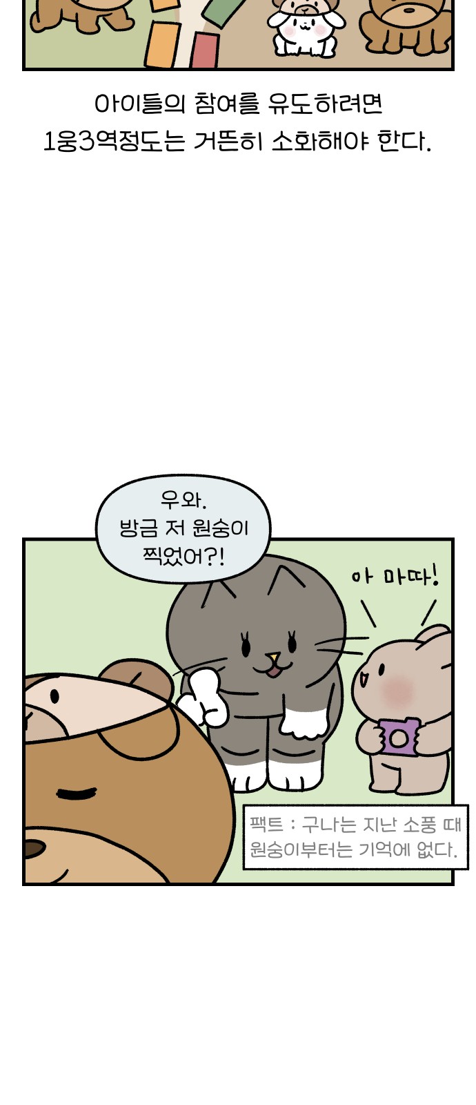 15 페이지