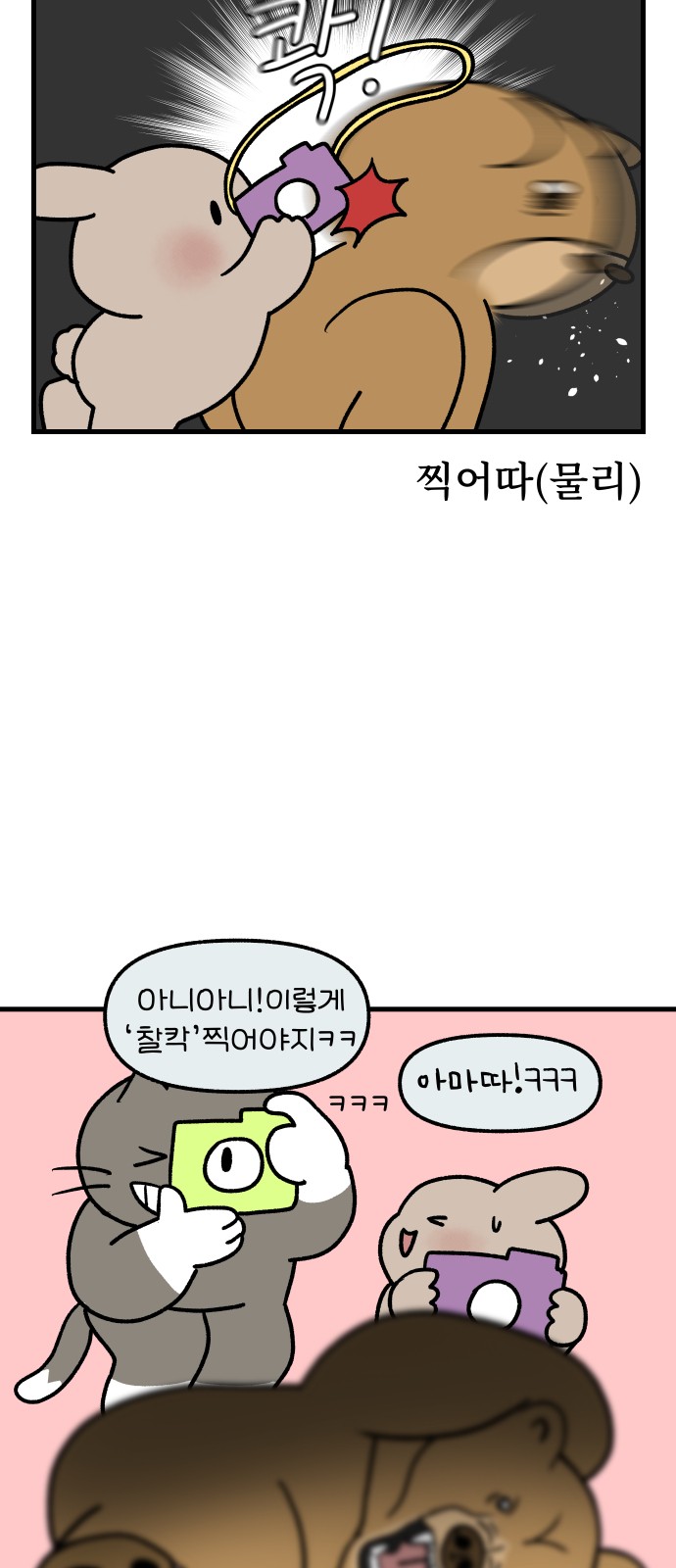 17 페이지