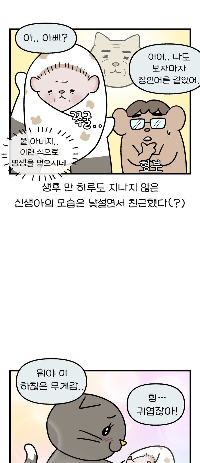 11 페이지