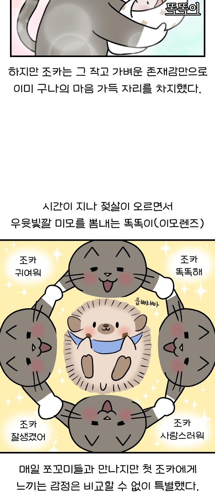 12 페이지