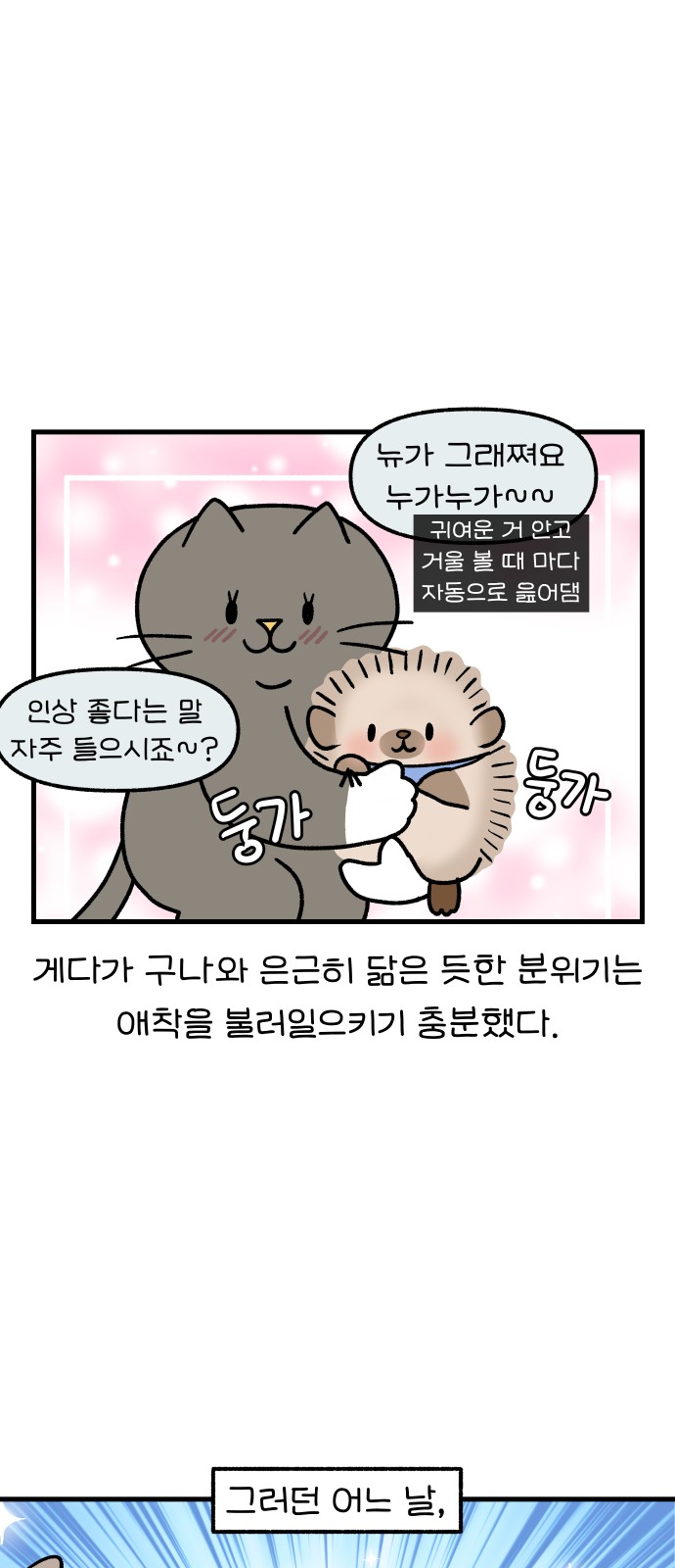 13 페이지