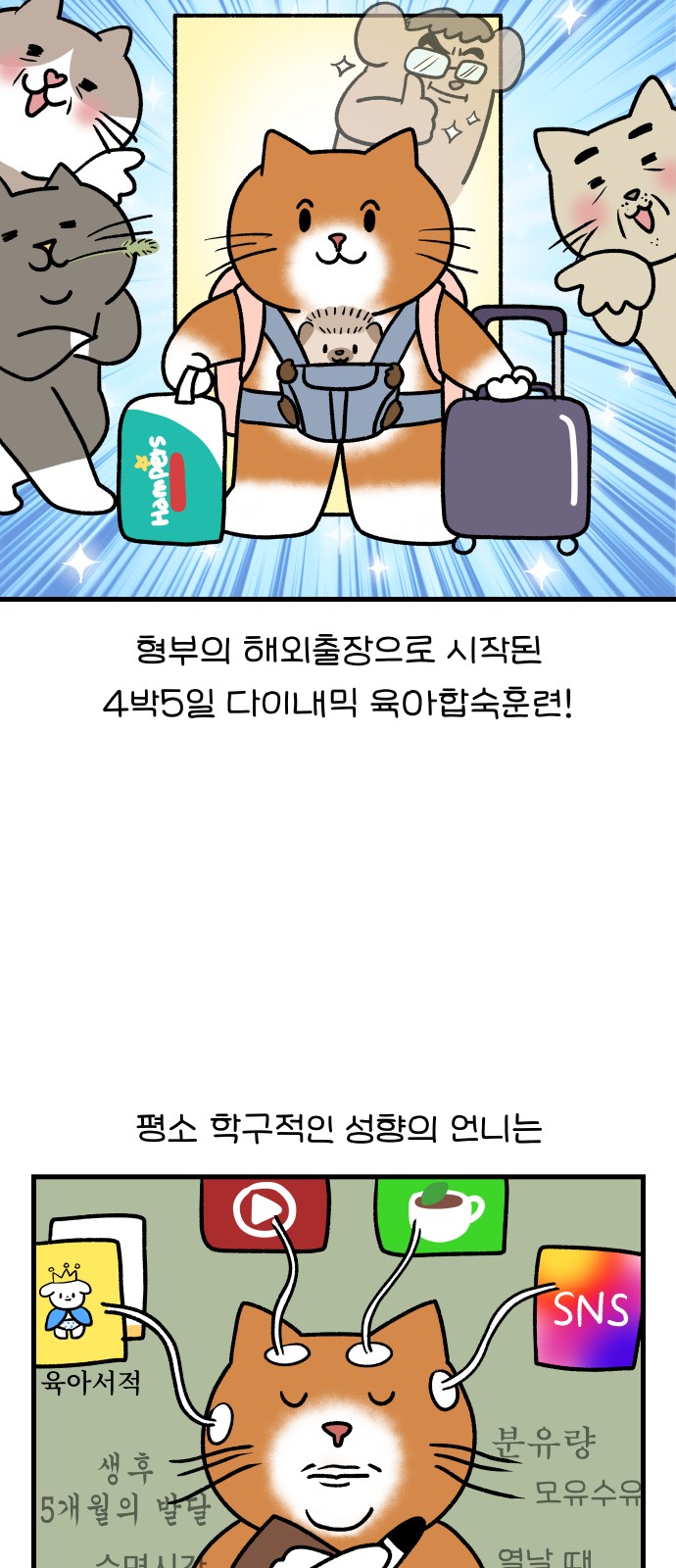 14 페이지