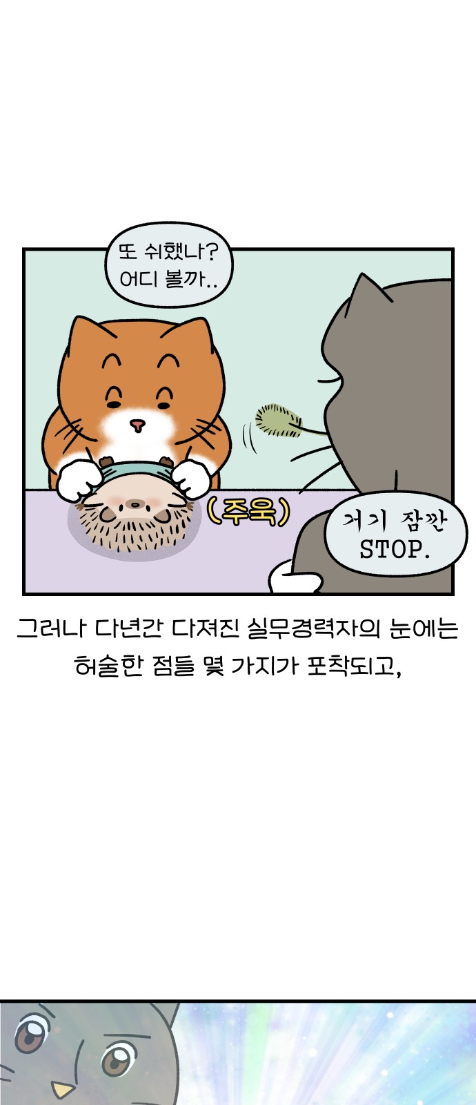 16 페이지