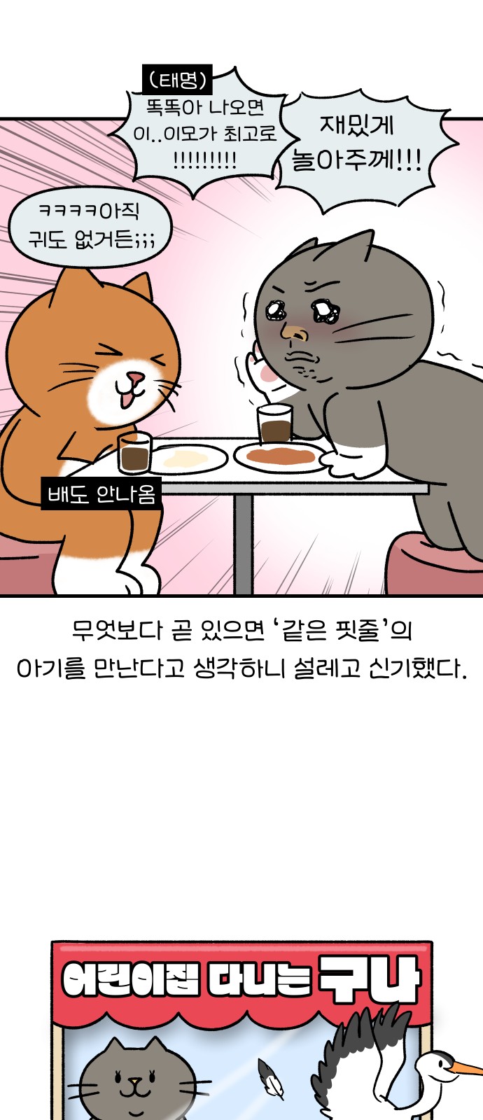 5 페이지