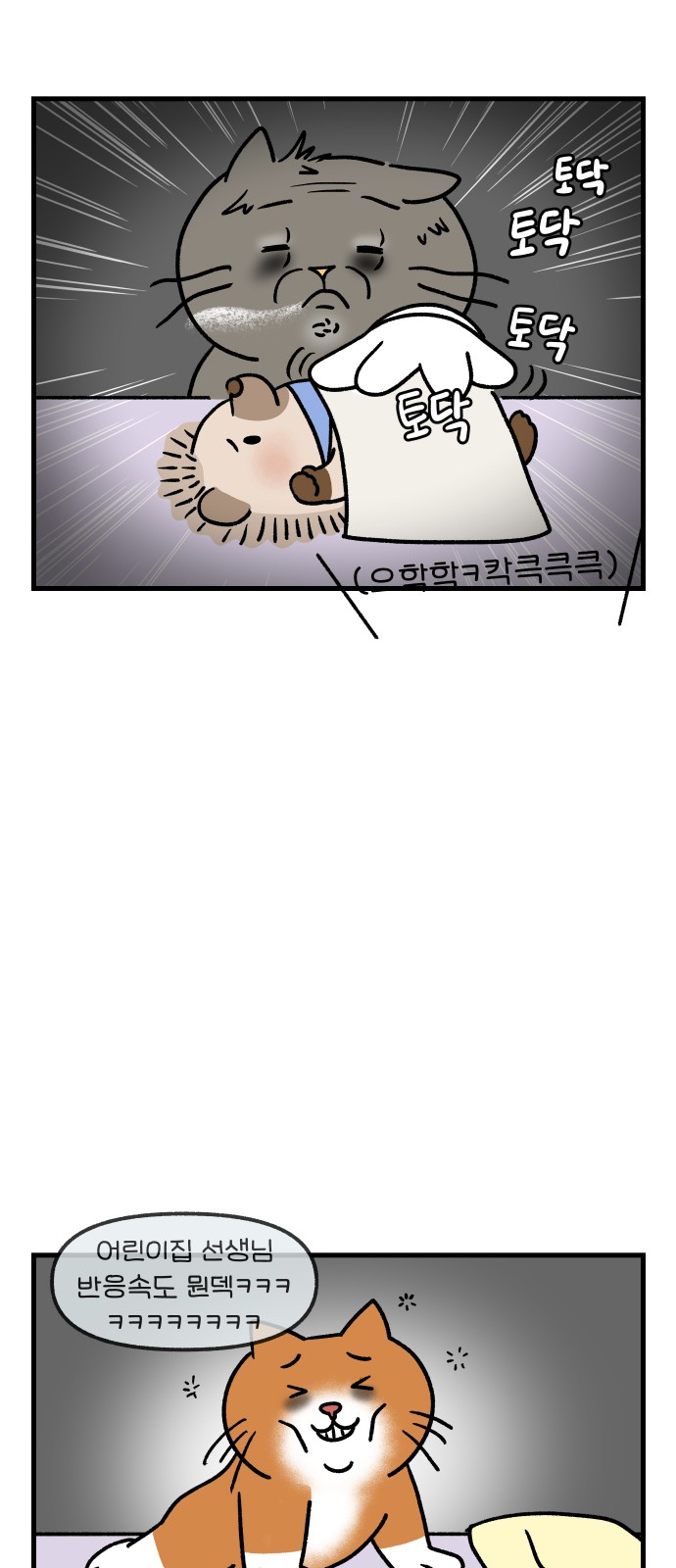 11 페이지