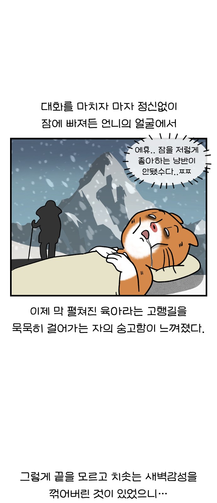 13 페이지