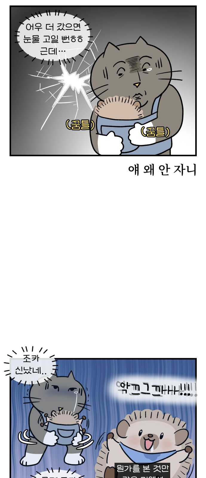 14 페이지