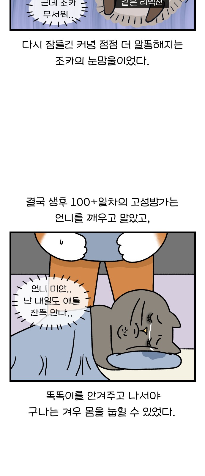 15 페이지