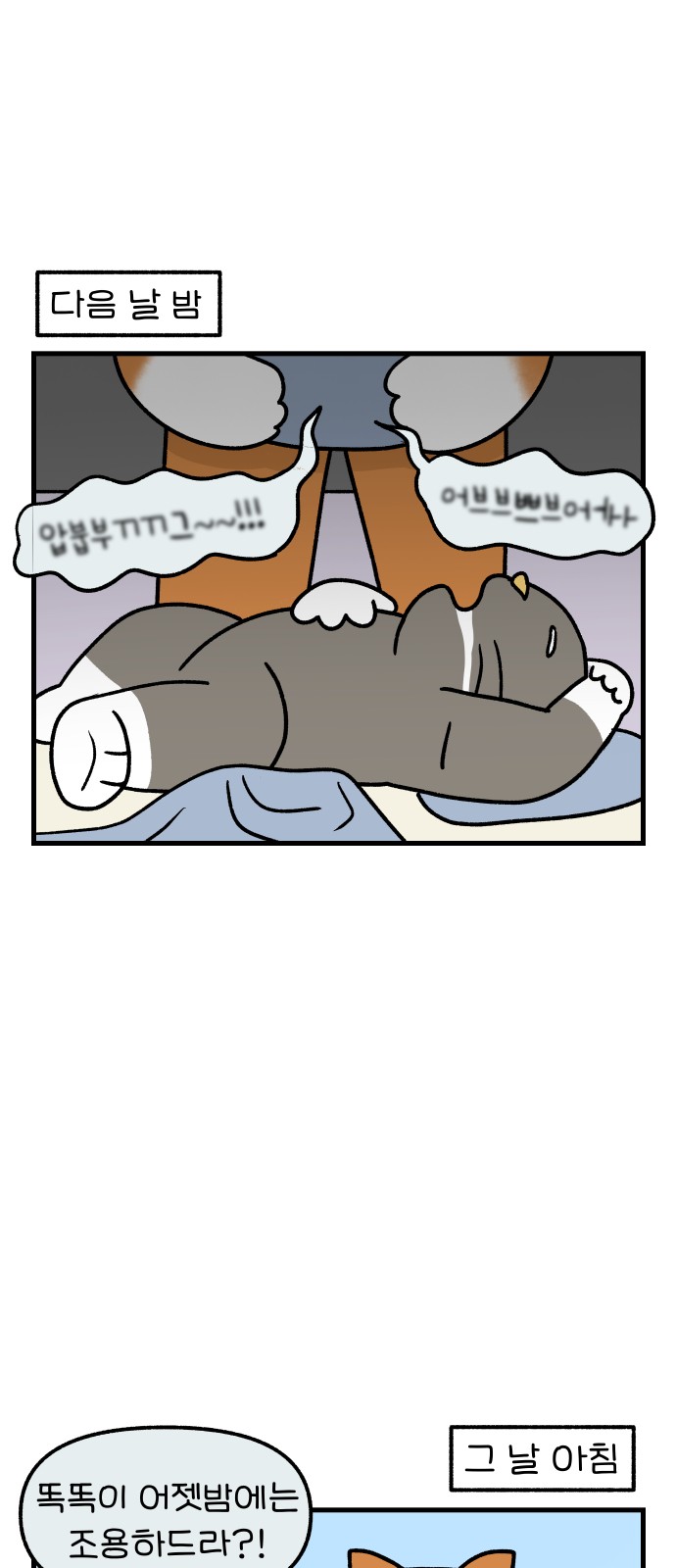 16 페이지