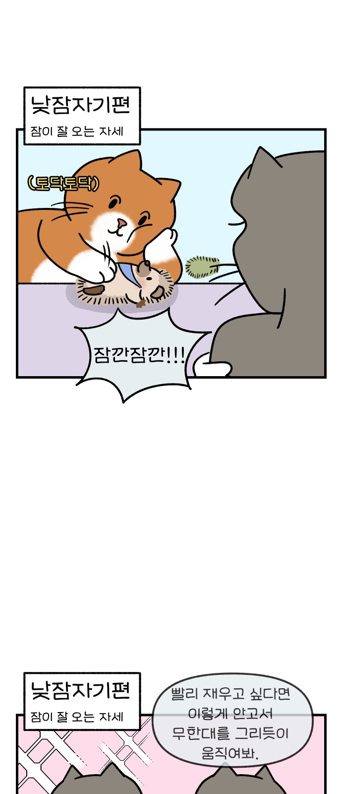 5 페이지
