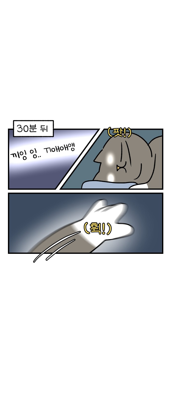 10 페이지